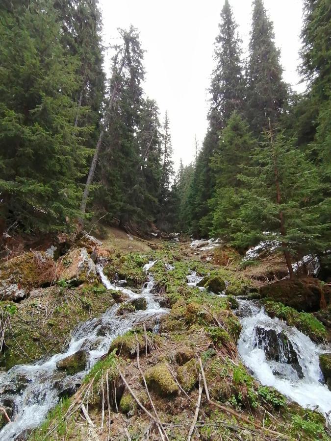 Petkovi Аpartments, Borovets Gardens - One-Bedroom And Two-Bedroom Apartments Luaran gambar