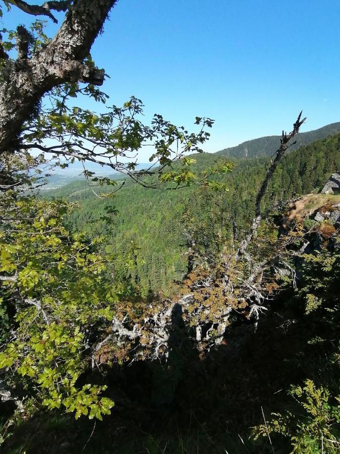 Petkovi Аpartments, Borovets Gardens - One-Bedroom And Two-Bedroom Apartments Luaran gambar