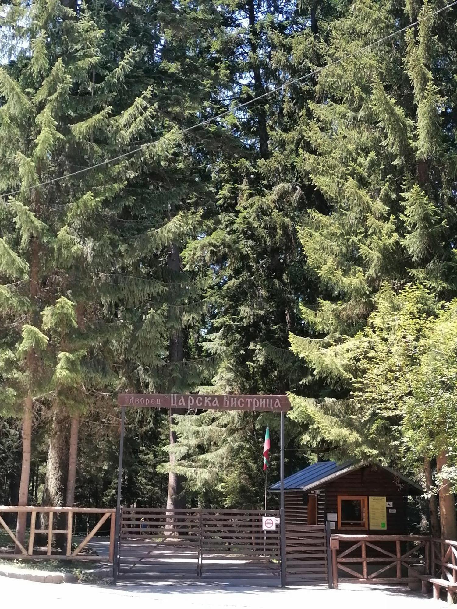 Petkovi Аpartments, Borovets Gardens - One-Bedroom And Two-Bedroom Apartments Luaran gambar